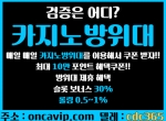 카지노방위대|홀덤바|비트코인선물|코인원|…